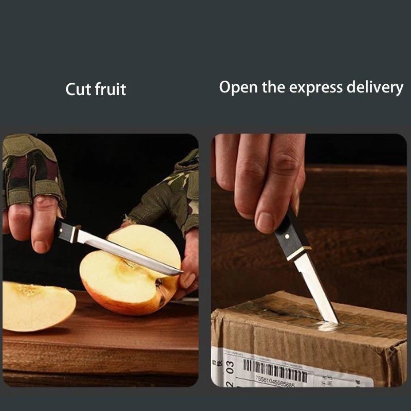 Portable Furit Kitchen Knife for Outdoor Camping,  M390 Stainless Steel Sharp Straight Knife for Cutting Vegetable & Fruit