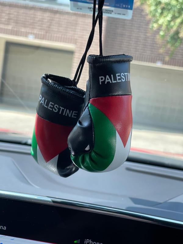 Country Flag Mini Boxing Gloves For Hanging