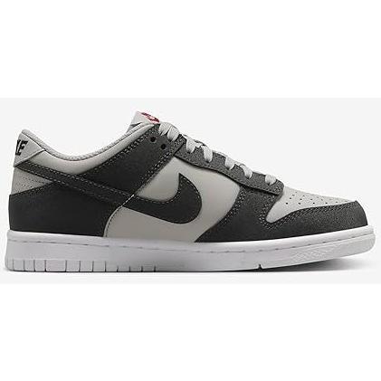 Nike Dunk Low HF LT Iron Ore Anthracite-White (FZ1000 001)