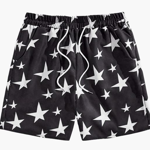 Men's Quick Drying Sporty Drawstring Waist Shorts for Summer, Gym Shorts